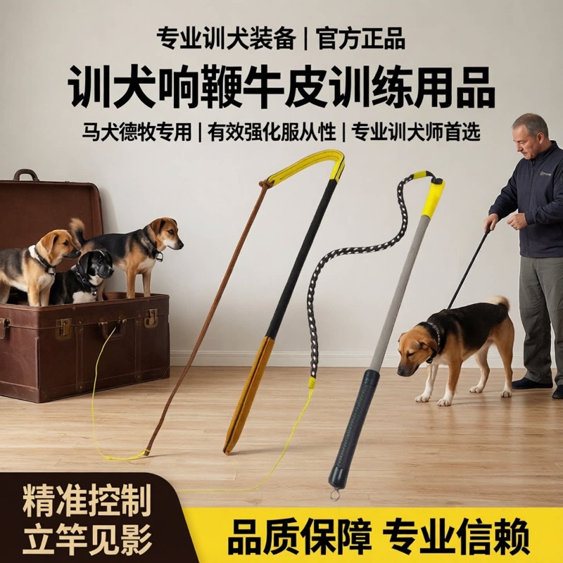 Training Dog Whip Leather Trai - Leatherwork Training review and price